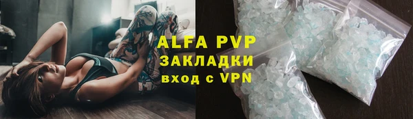 ПСИЛОЦИБИНОВЫЕ ГРИБЫ Белокуриха