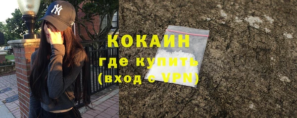 ПСИЛОЦИБИНОВЫЕ ГРИБЫ Белокуриха