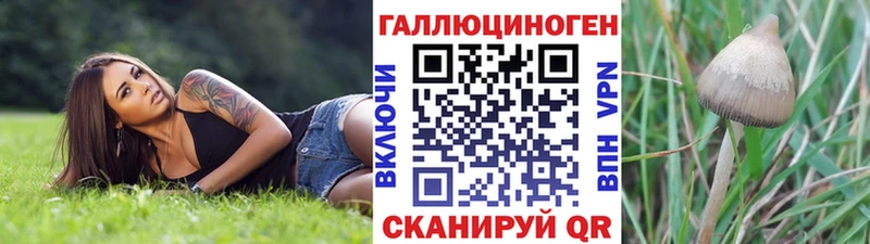 Галлюциногенные грибы Psilocybe  Завитинск 